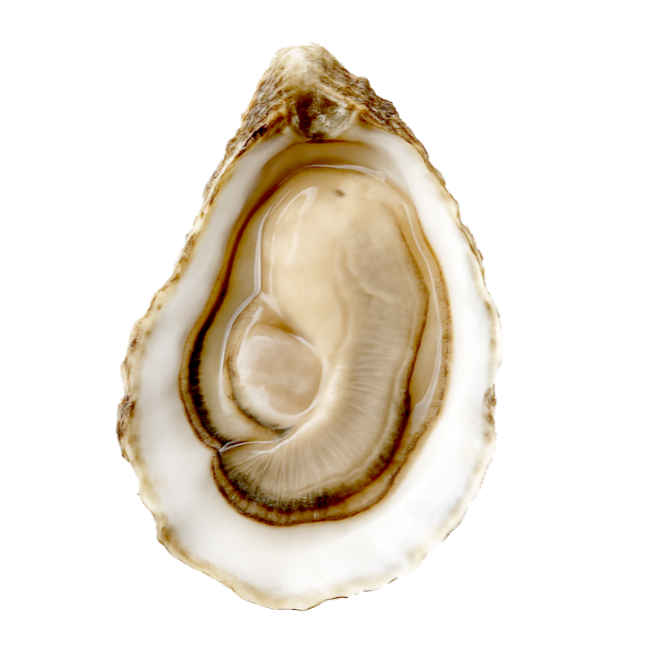 Oyster Extract